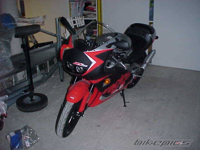 Photo 20736