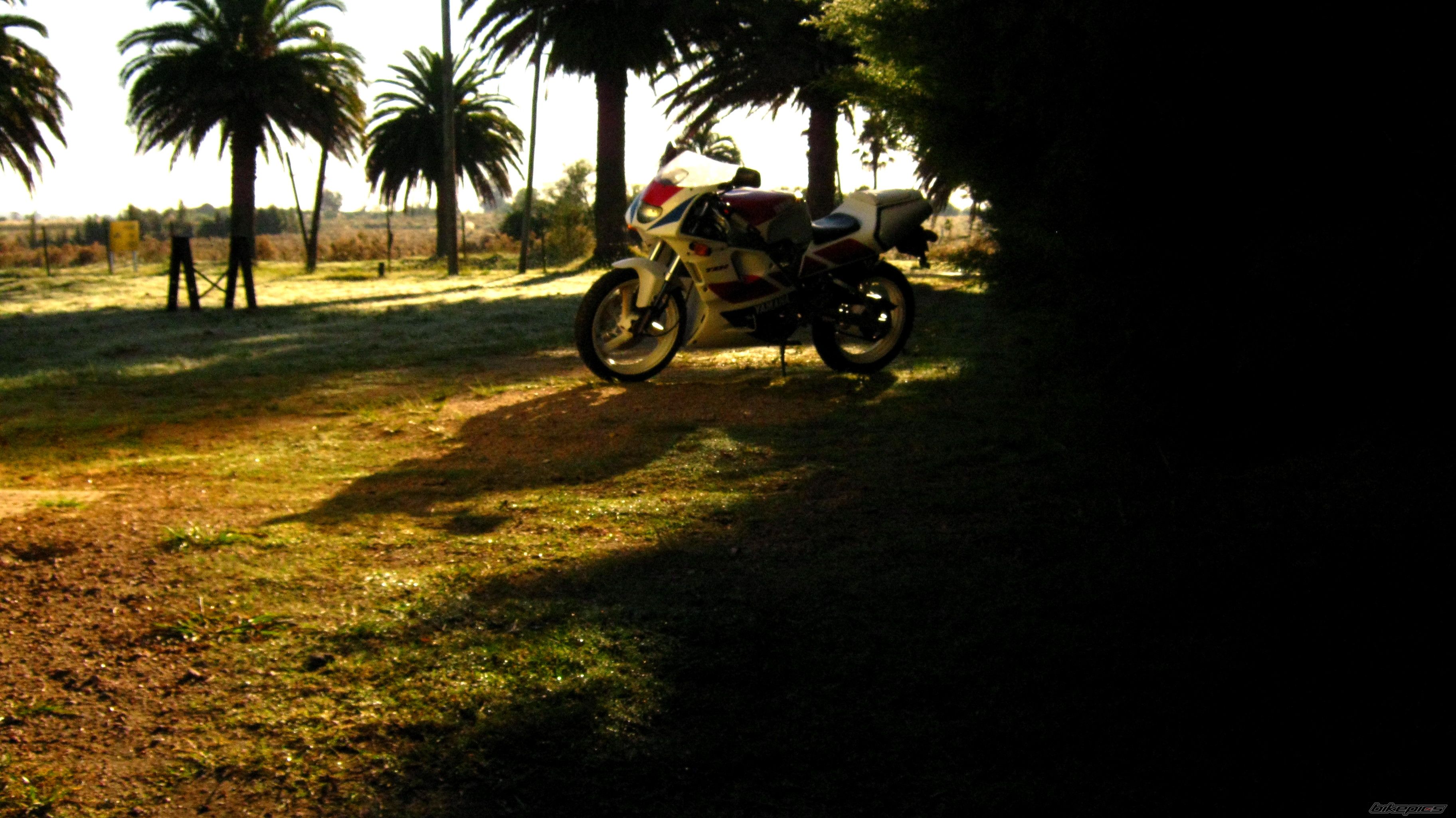 Photo 2073779