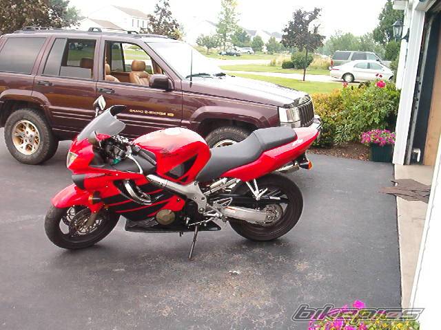Photo 207393