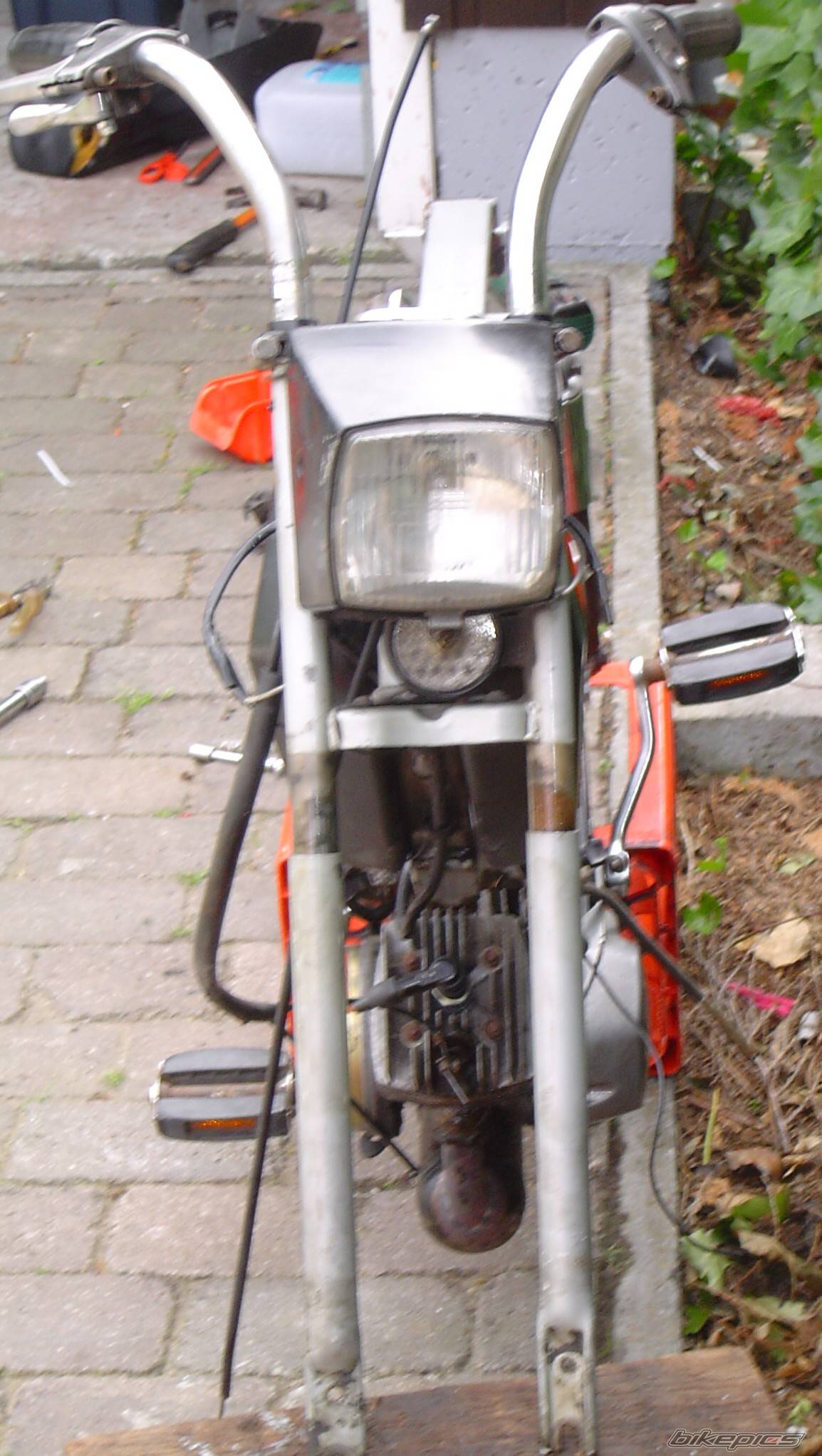 Photo 207394
