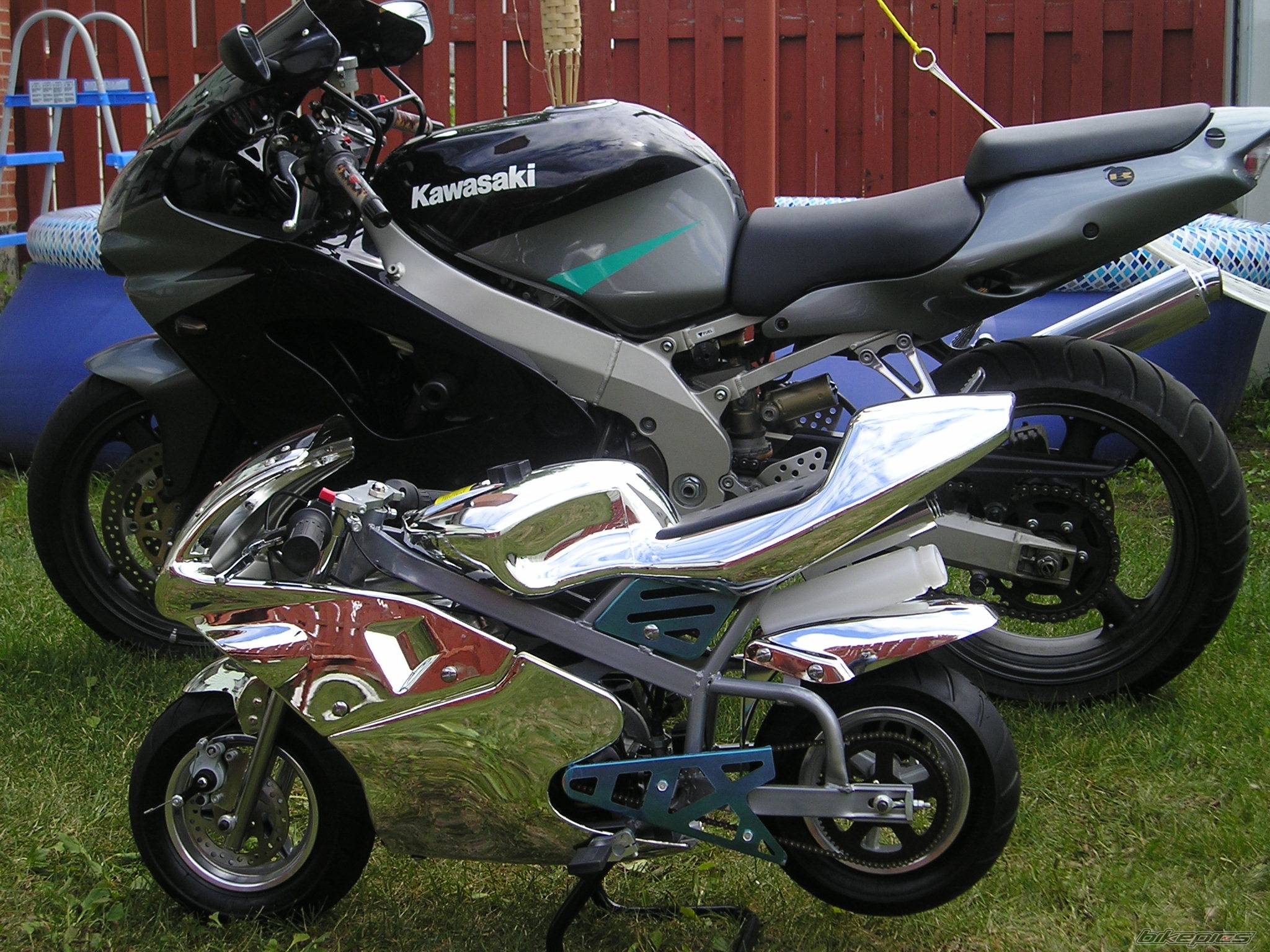 Photo 207395
