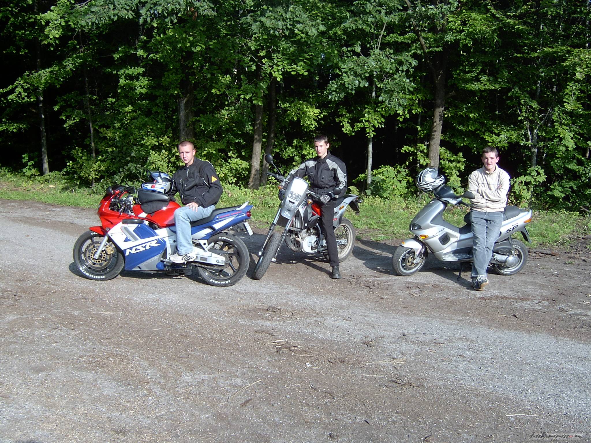 Photo 207399