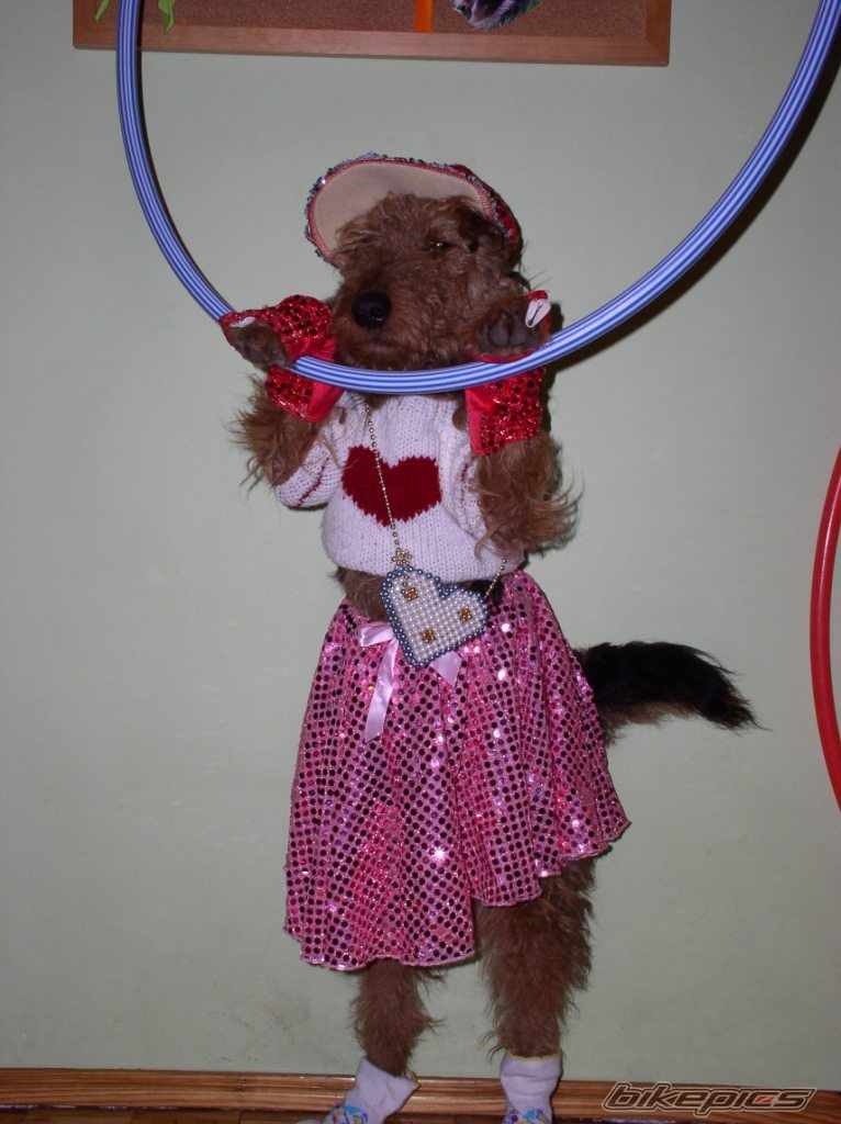 Photo 2074224