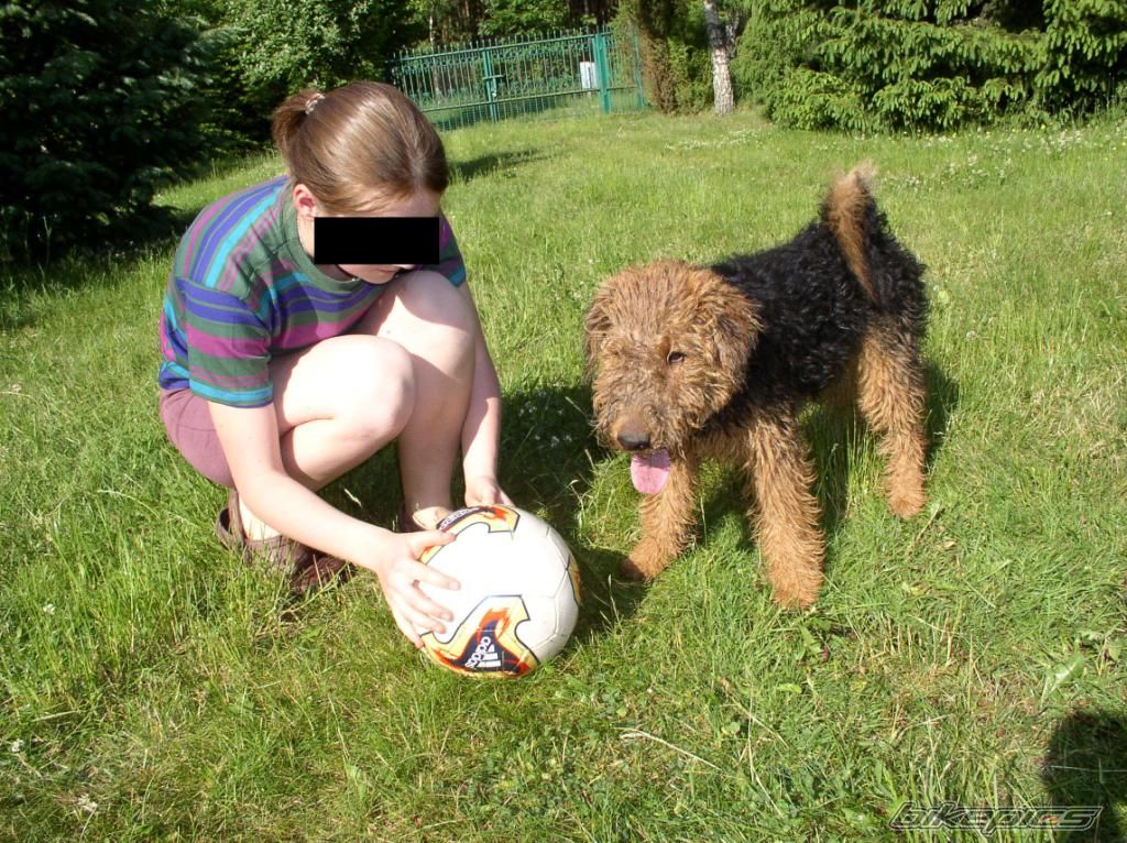 Photo 2074229