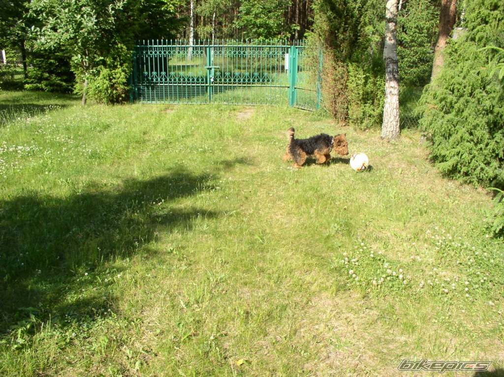 Photo 2074230