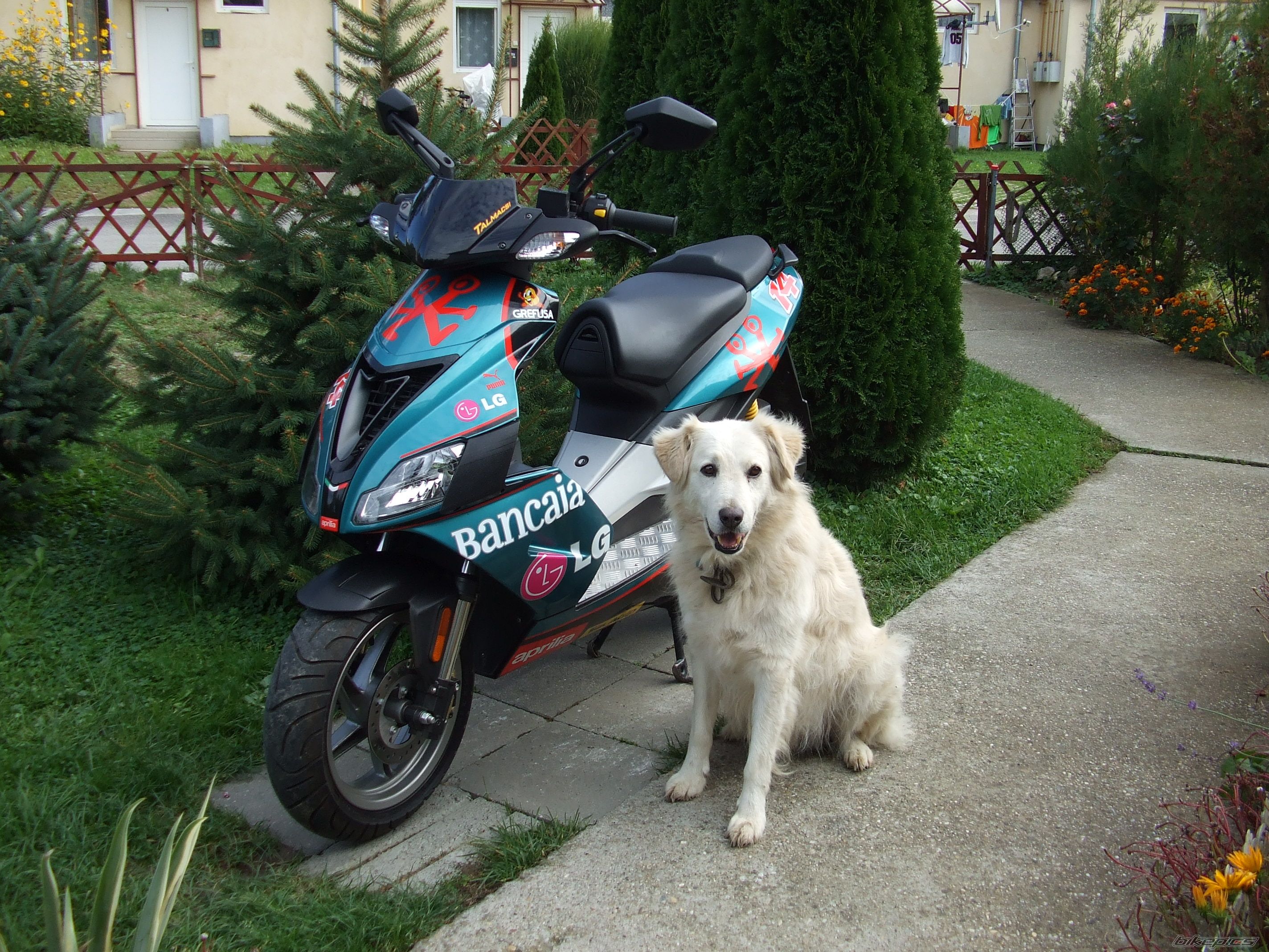 Photo 2074782