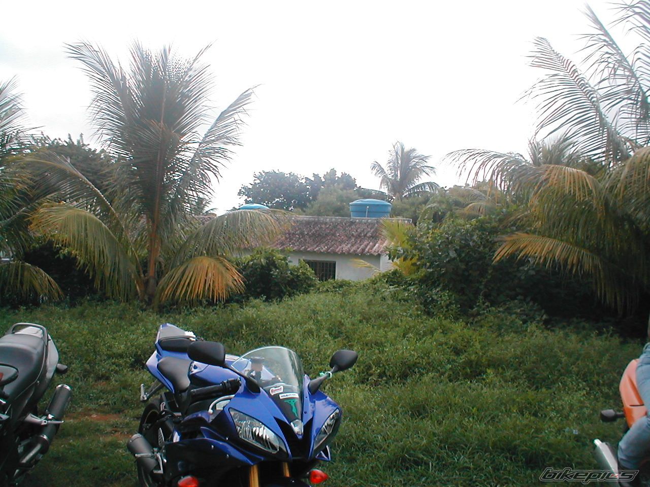 Photo 2074791