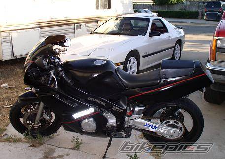 Photo 207498