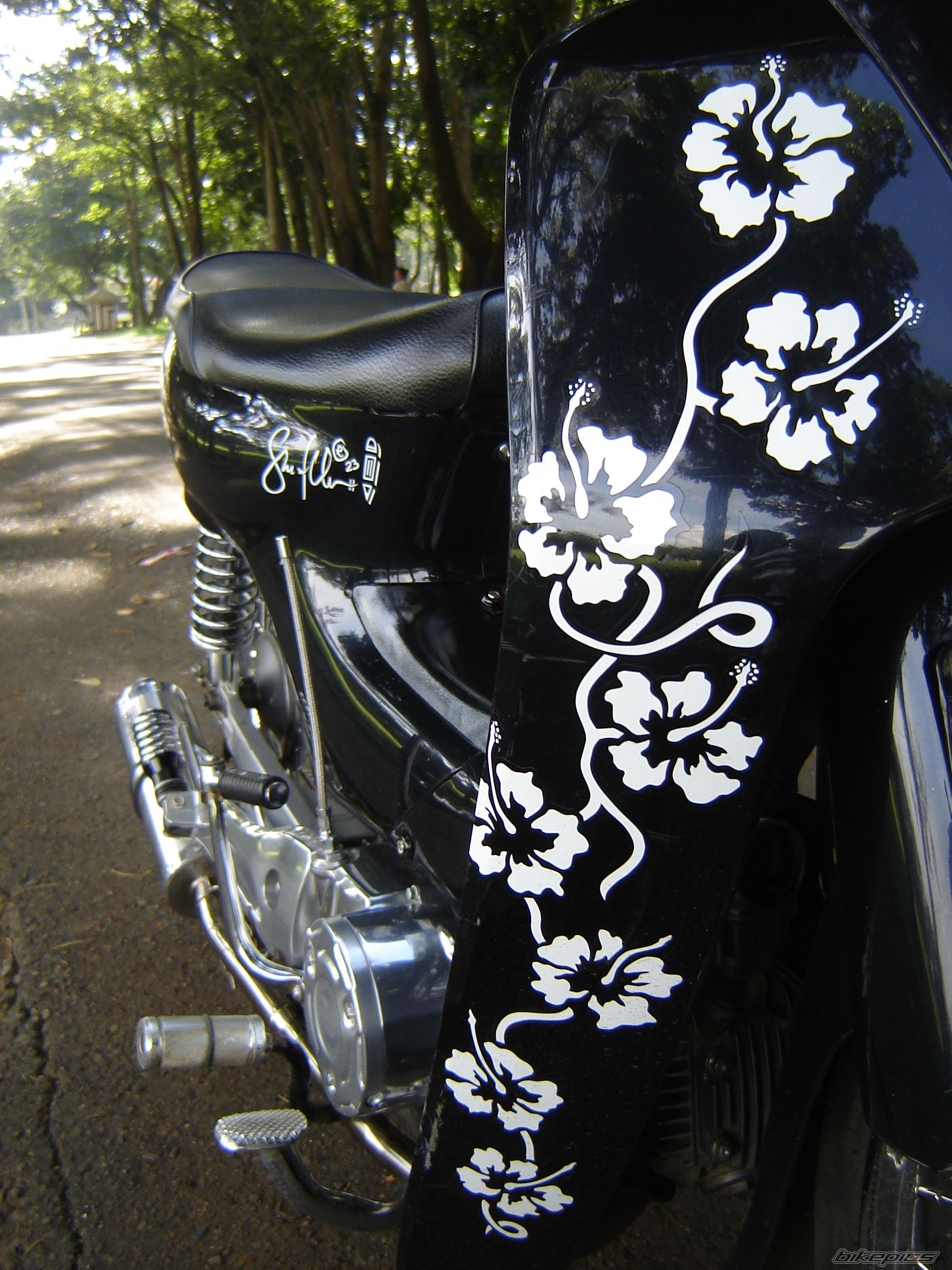 Photo 2075042