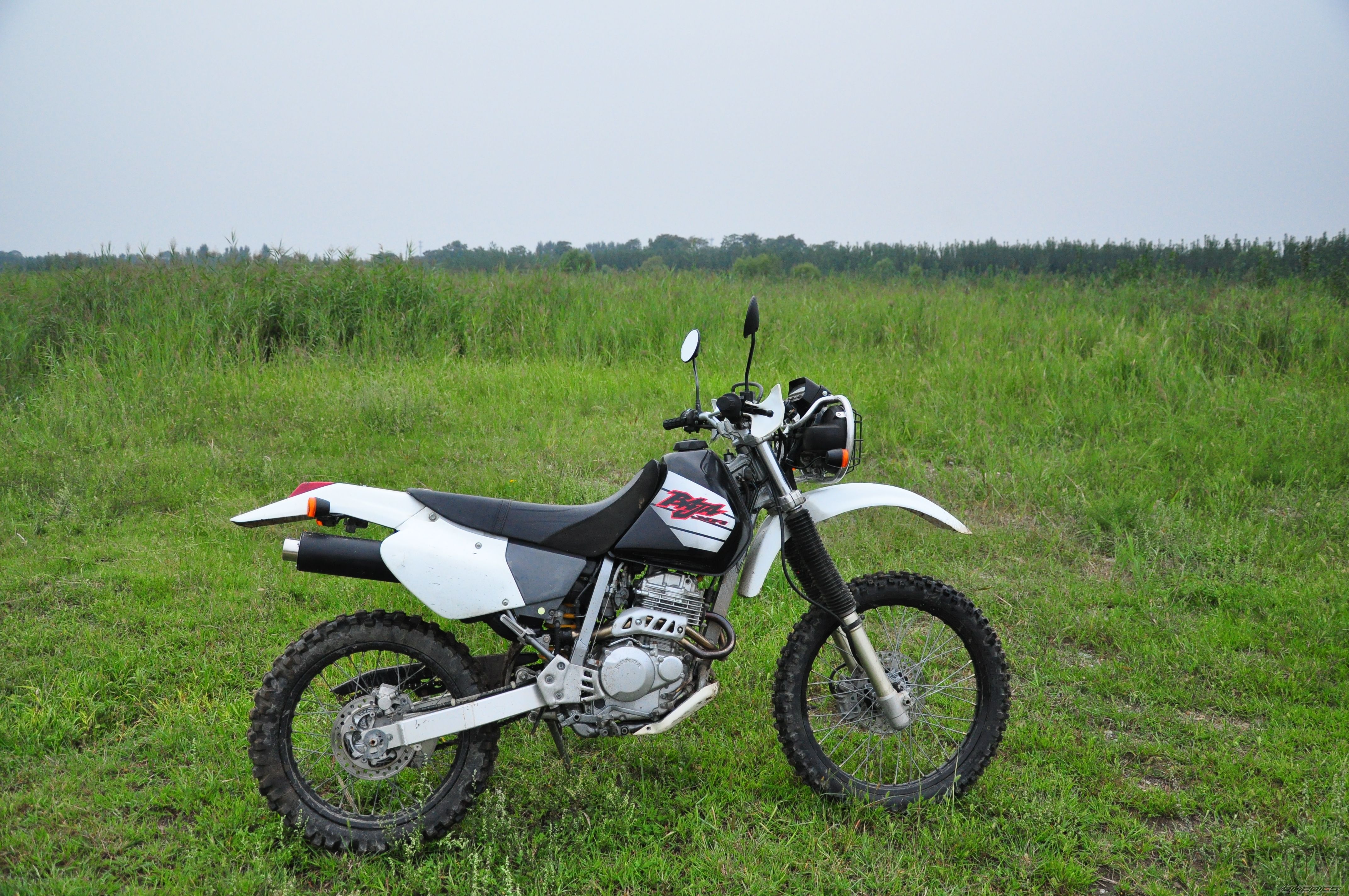 Photo 2075238