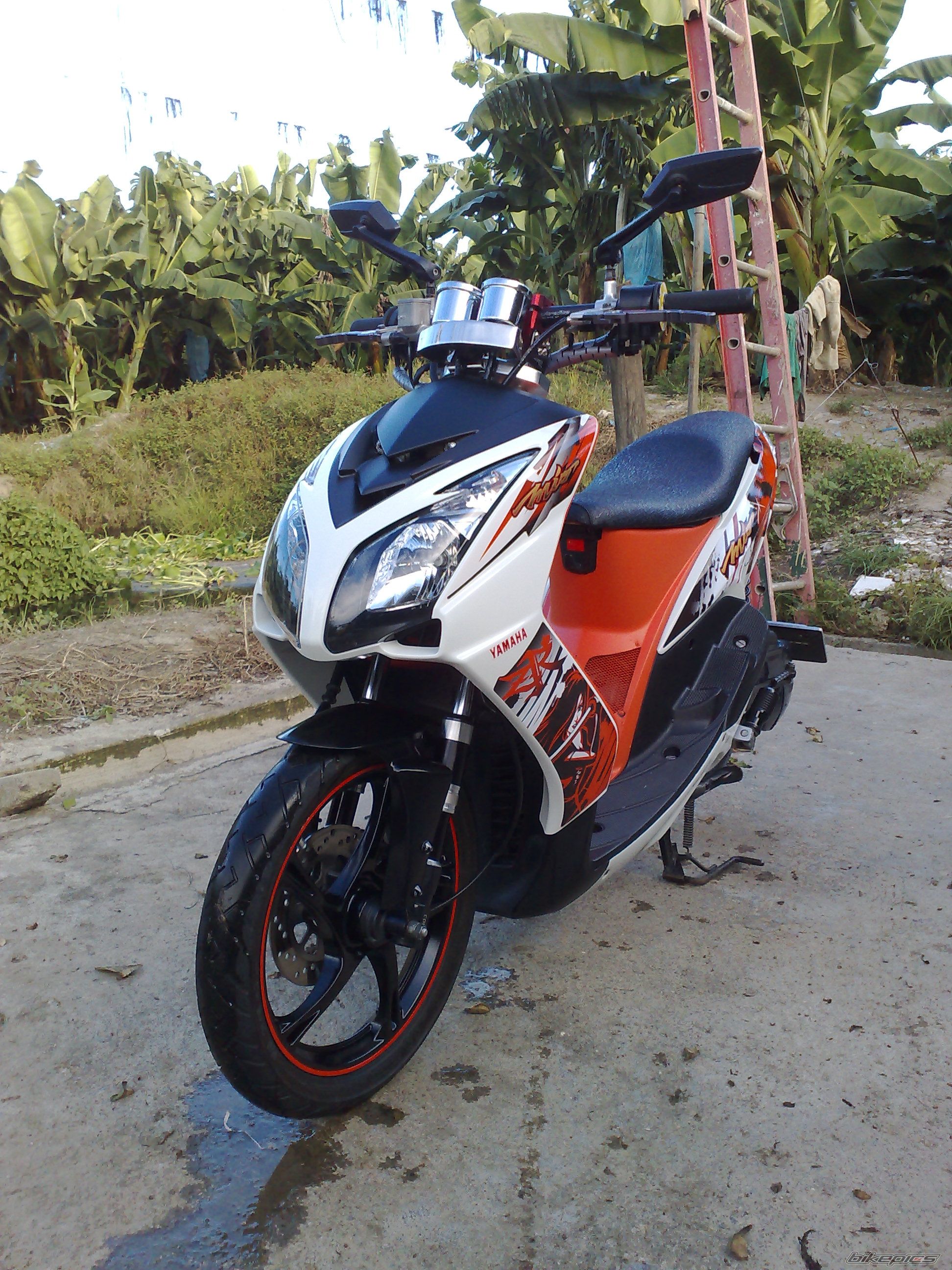 Photo 2075668