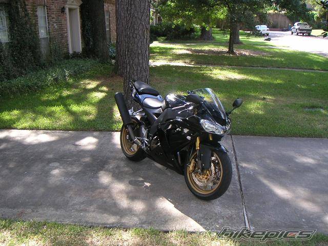 Photo 207575