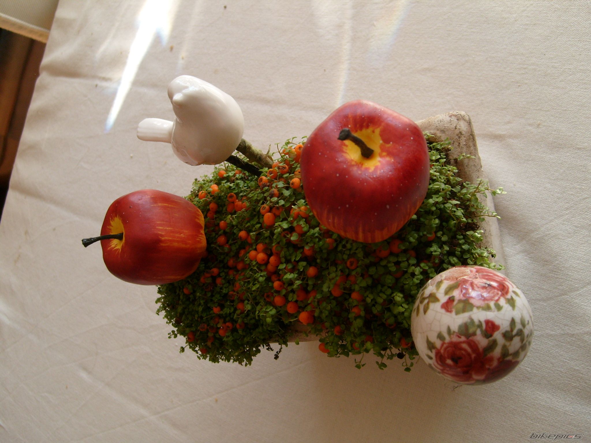 Photo 2075759