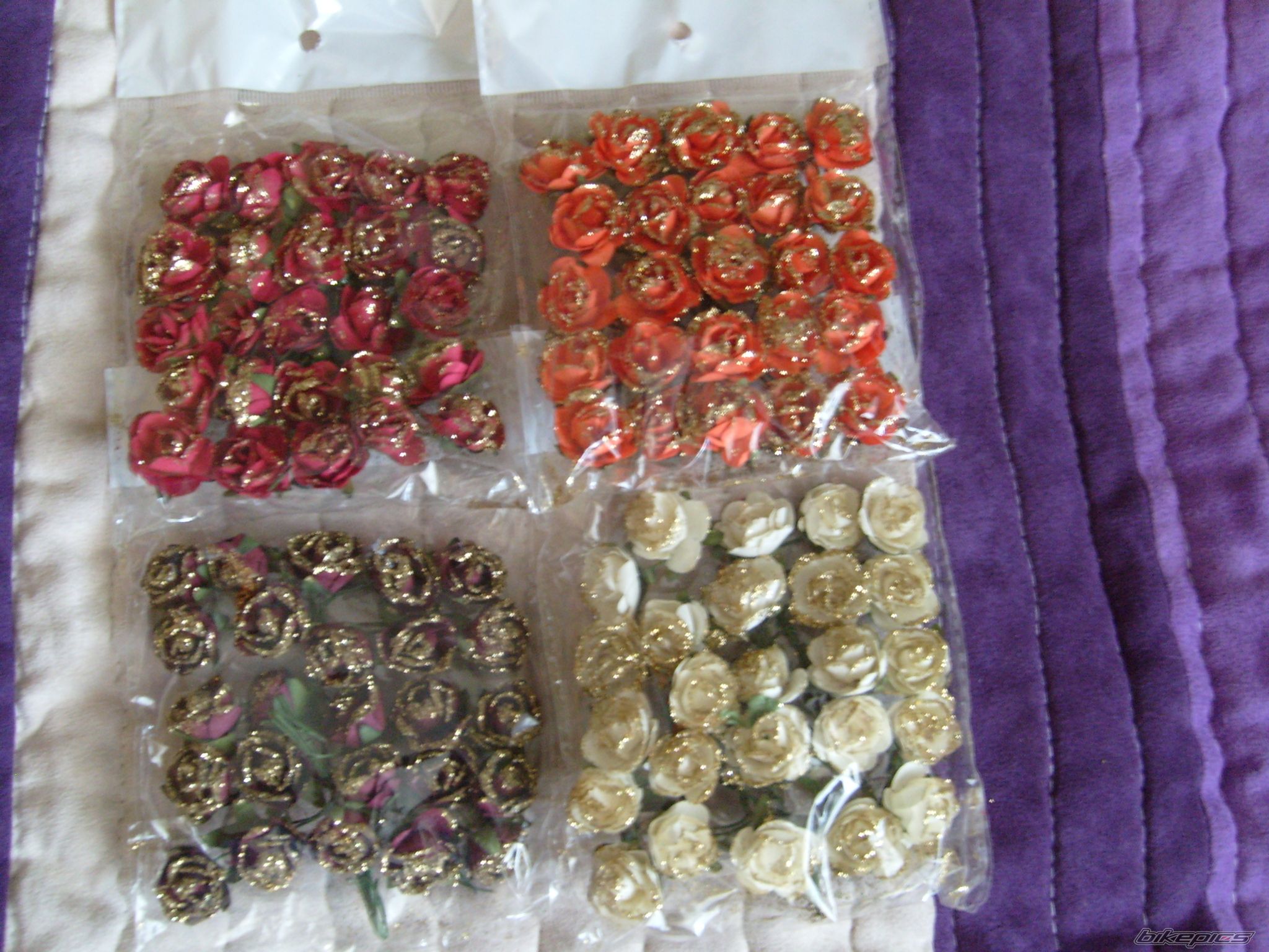 Photo 2075762