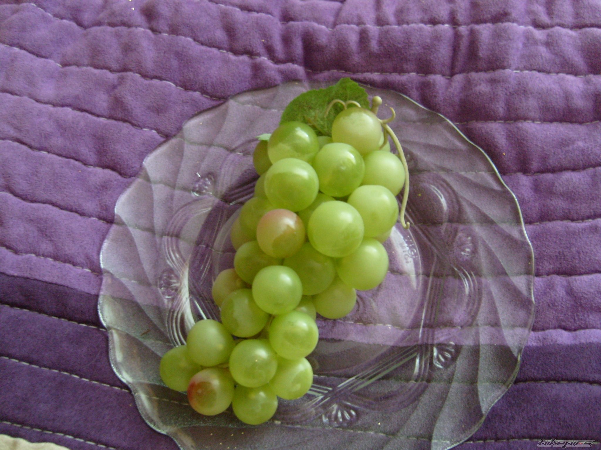 Photo 2075769