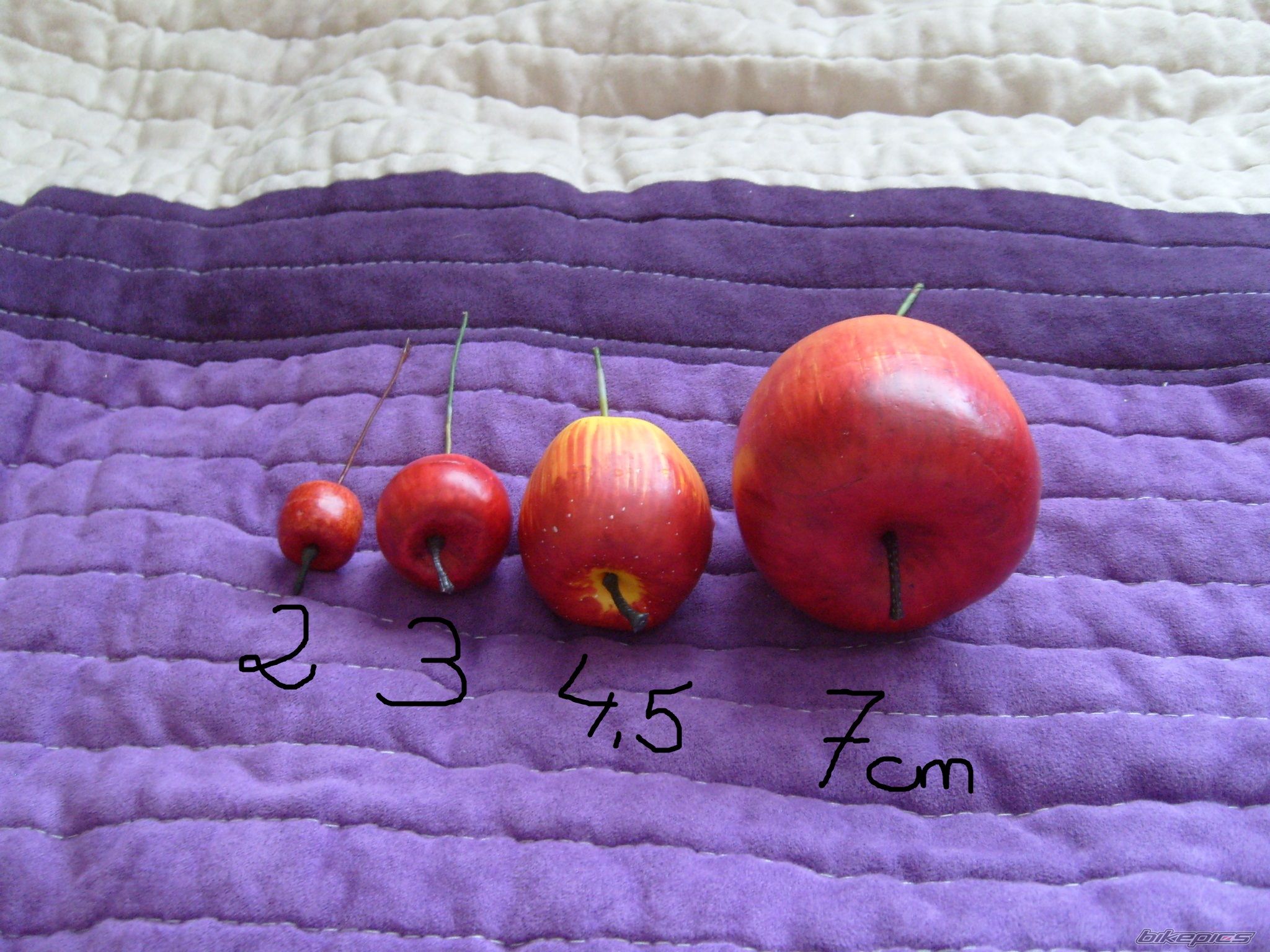 Photo 2075784