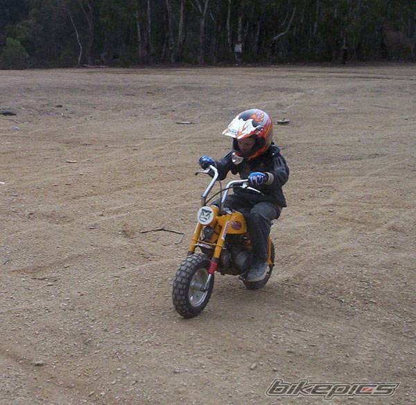Photo 207579