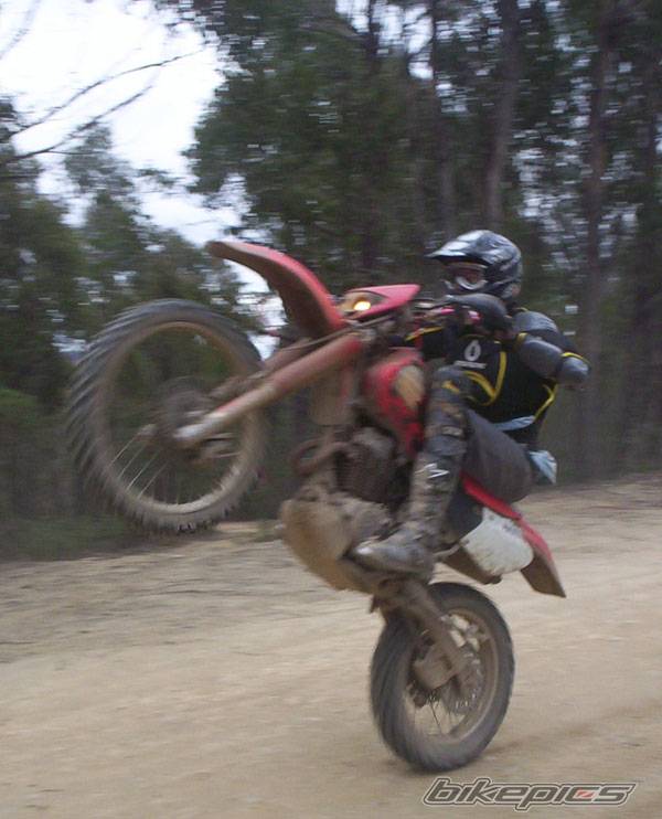 Photo 207602