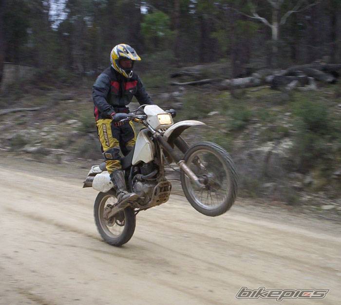 Photo 207606
