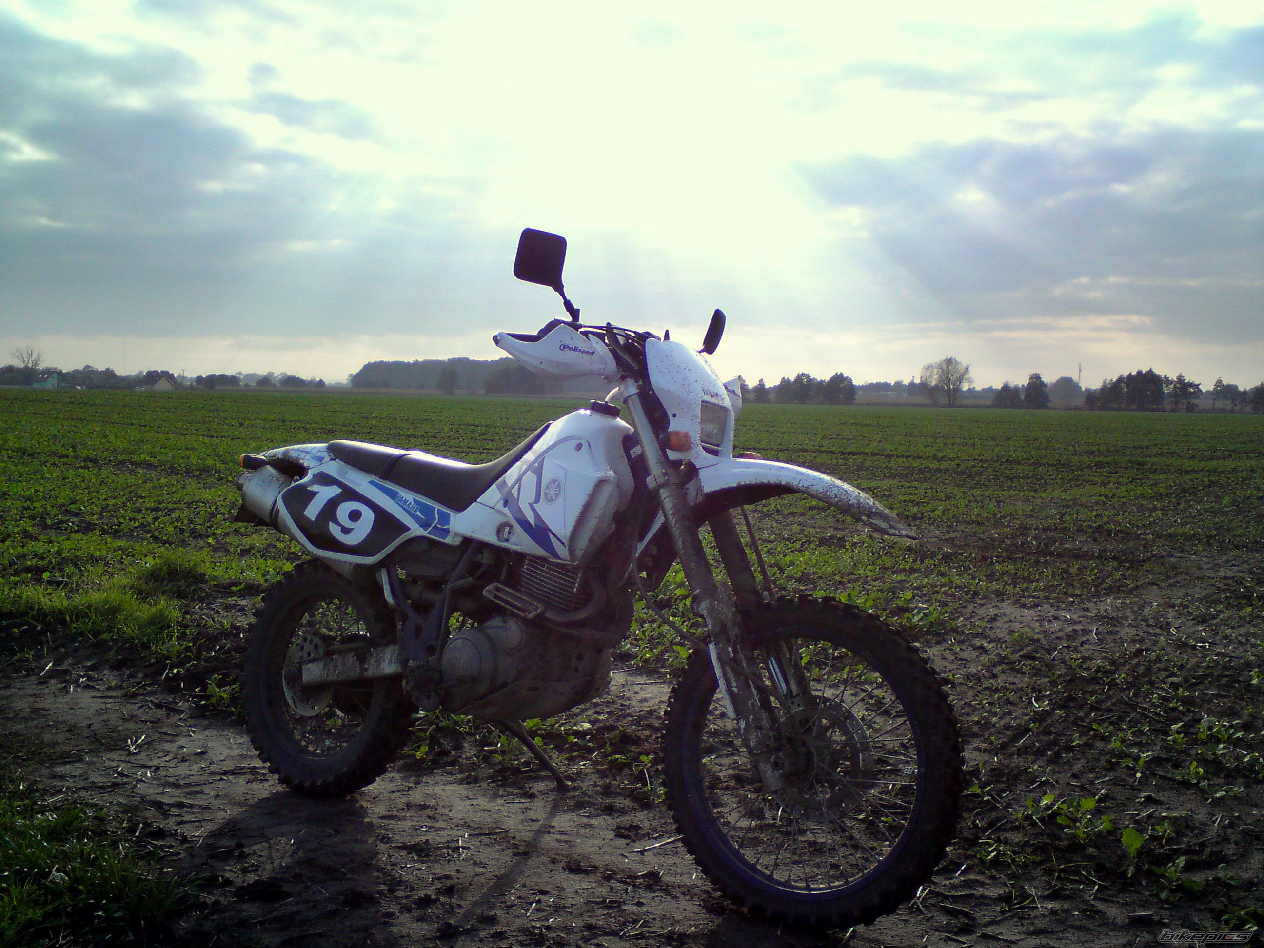 Photo 2076072