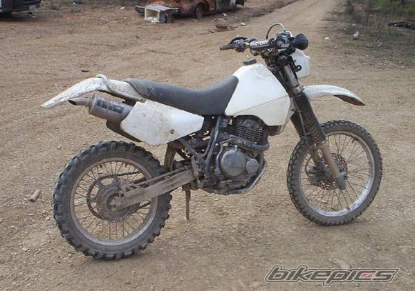 Photo 207610