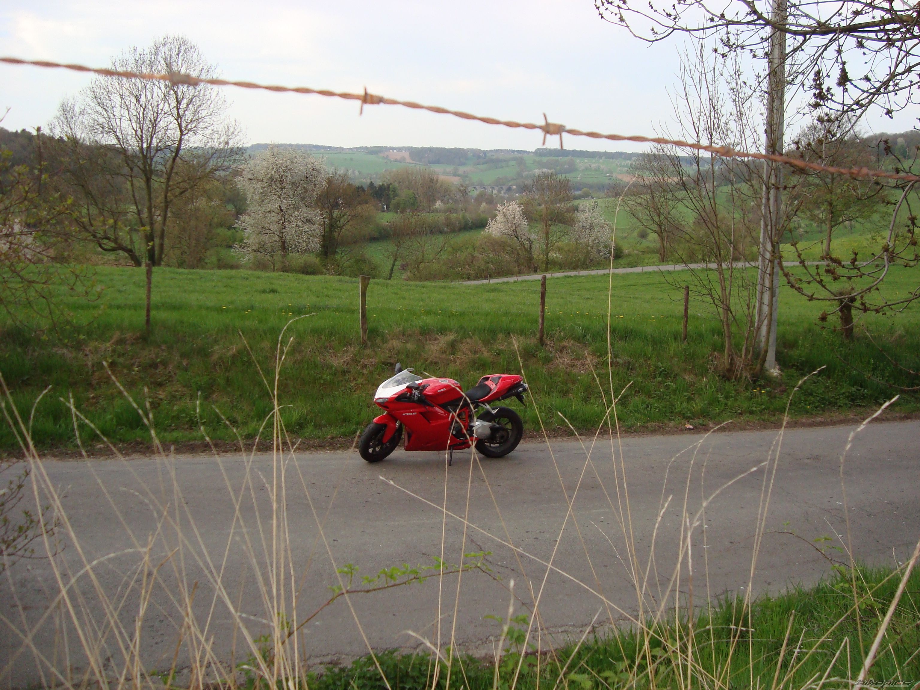 Photo 2076118