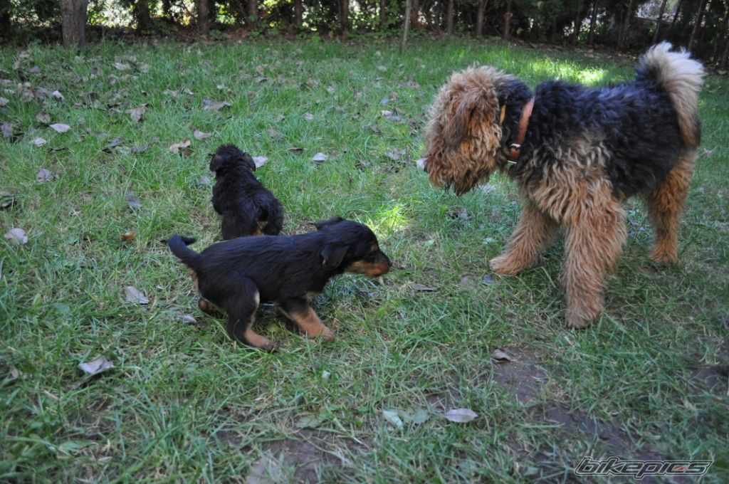 Photo 2076148
