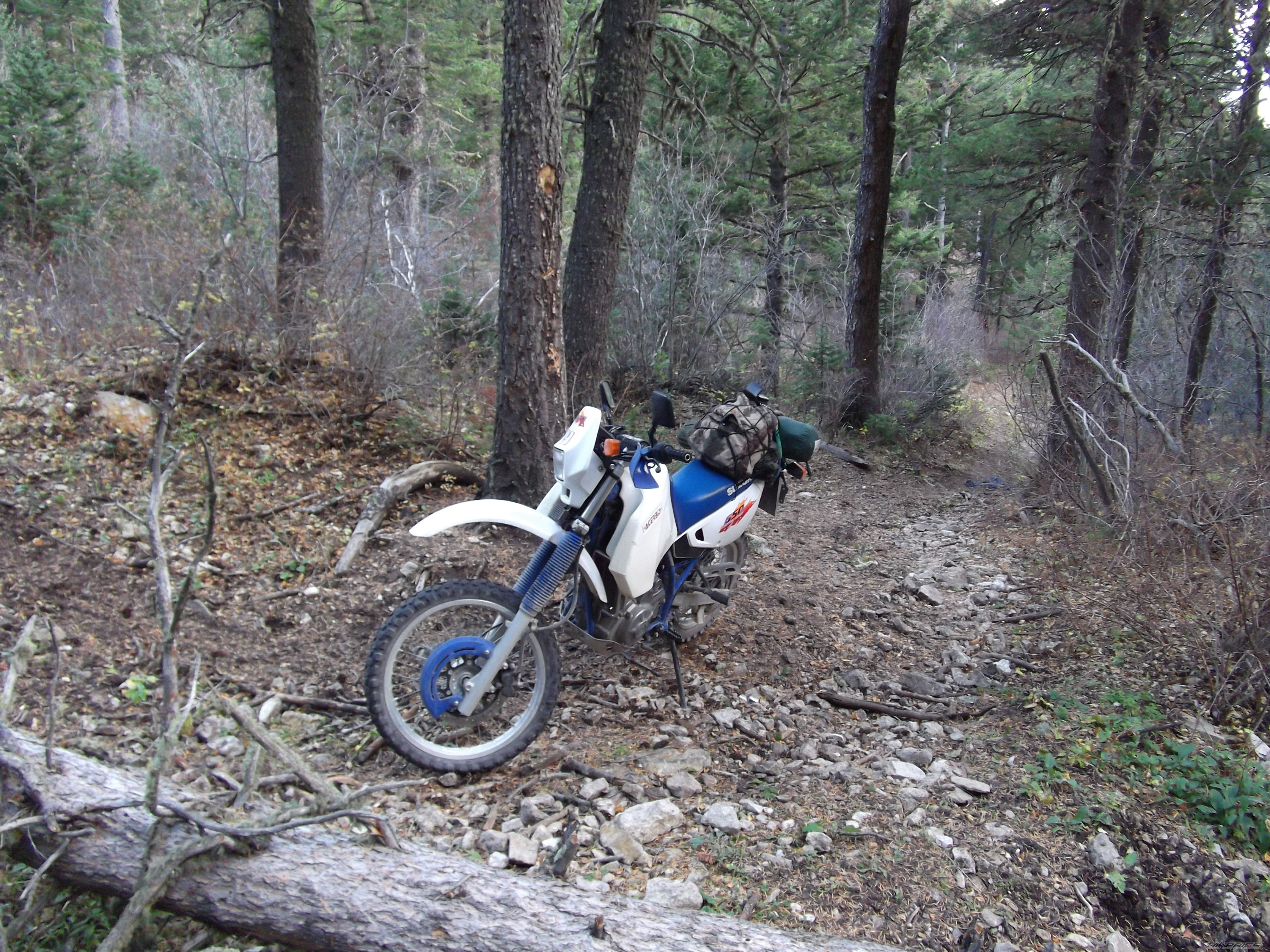 Bike Photo 2076239