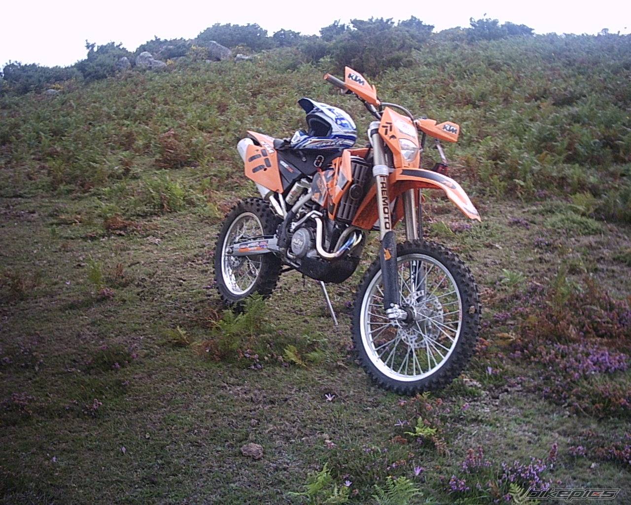 Photo 207639