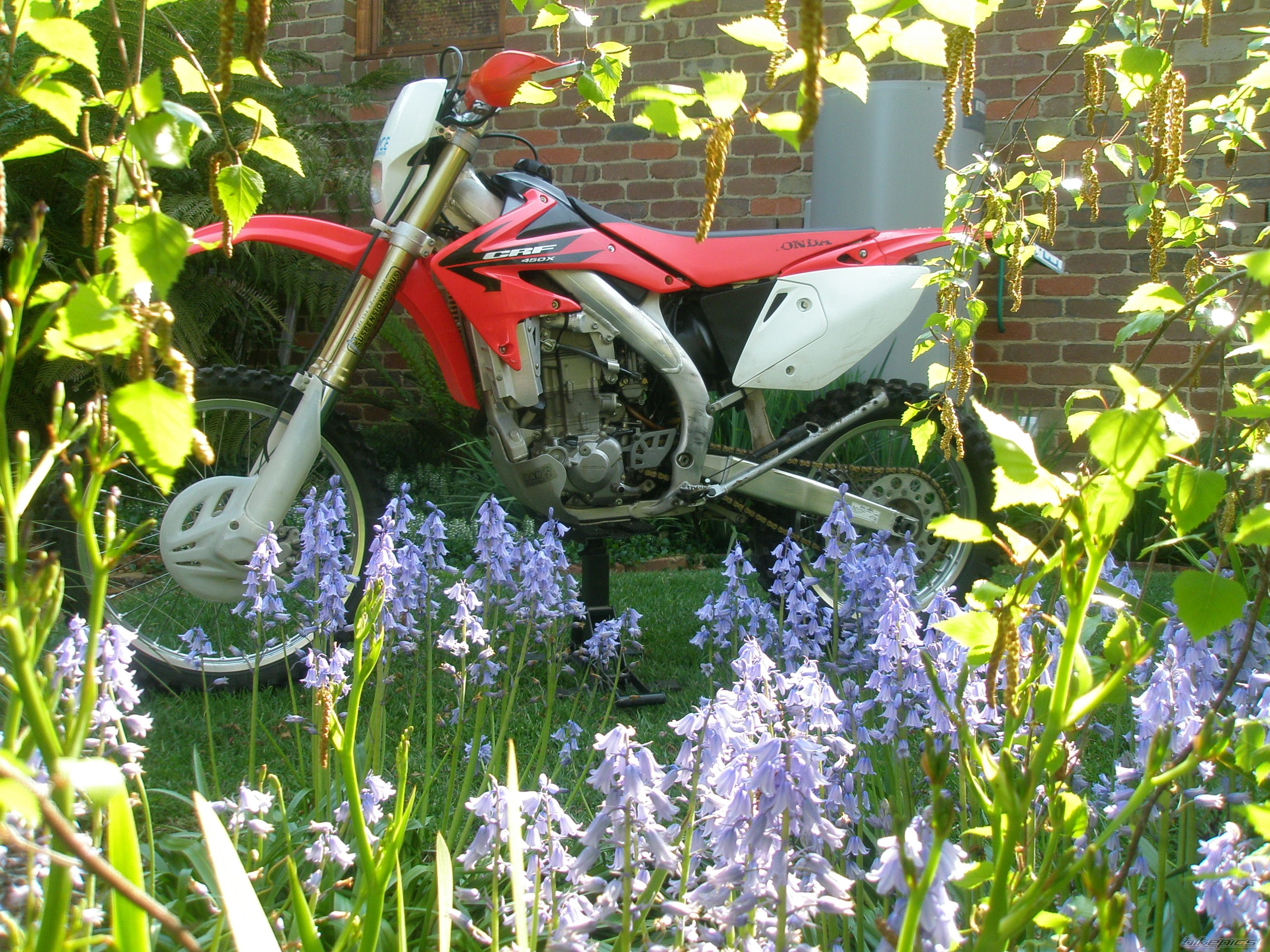 Bike Photo 2076435