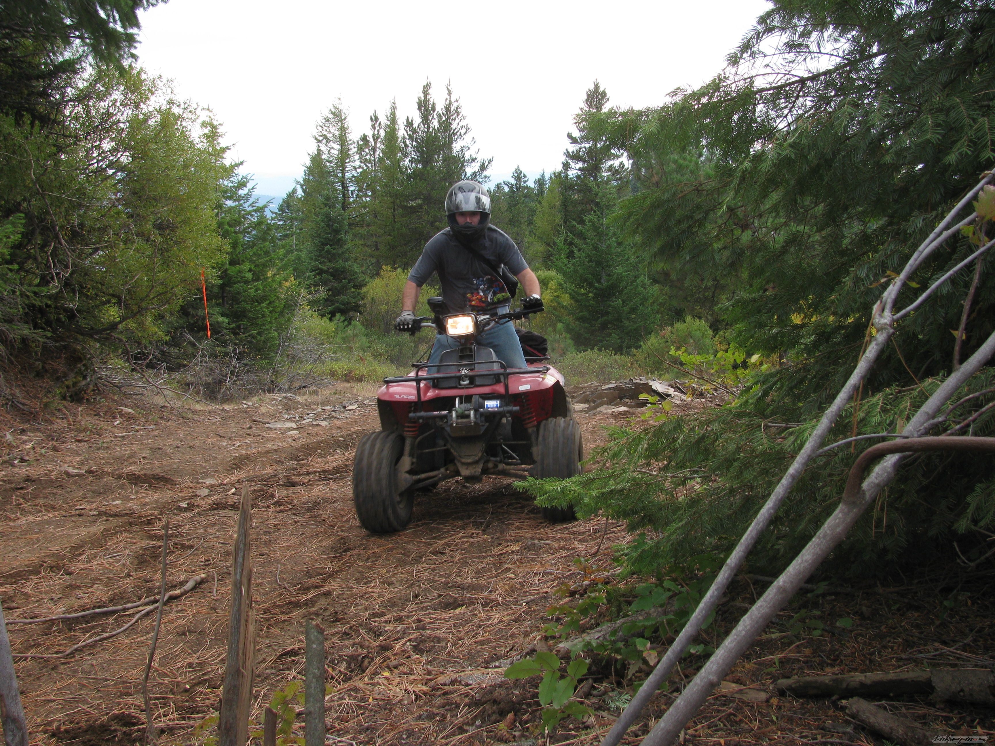 Photo 2076474