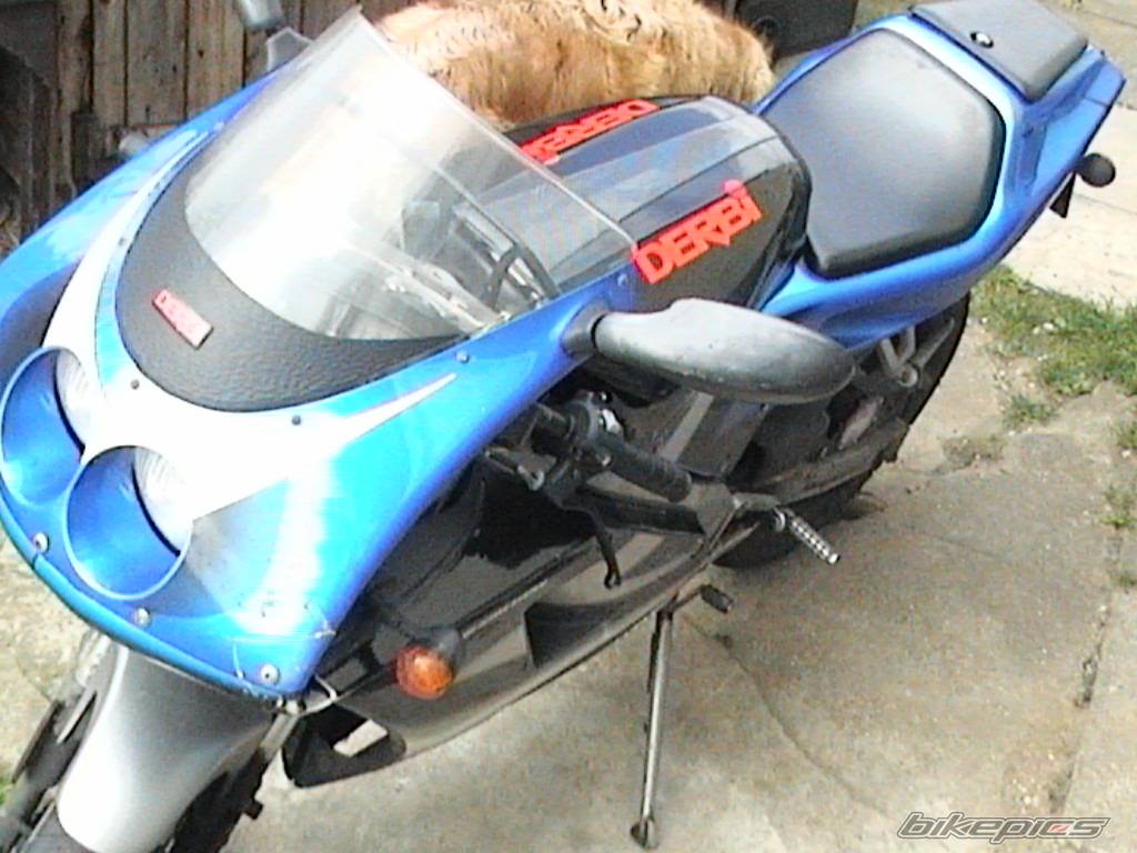 Photo 207659