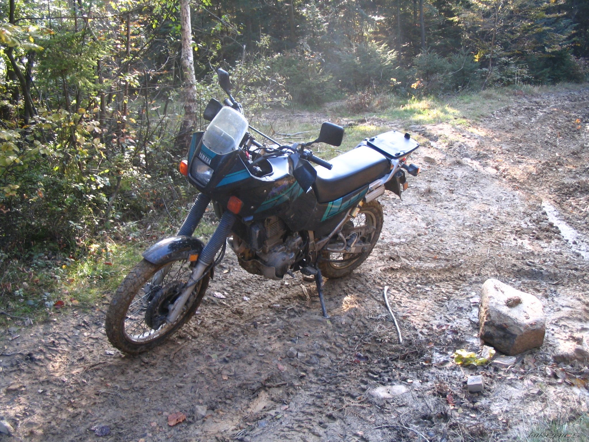 Photo 2076799
