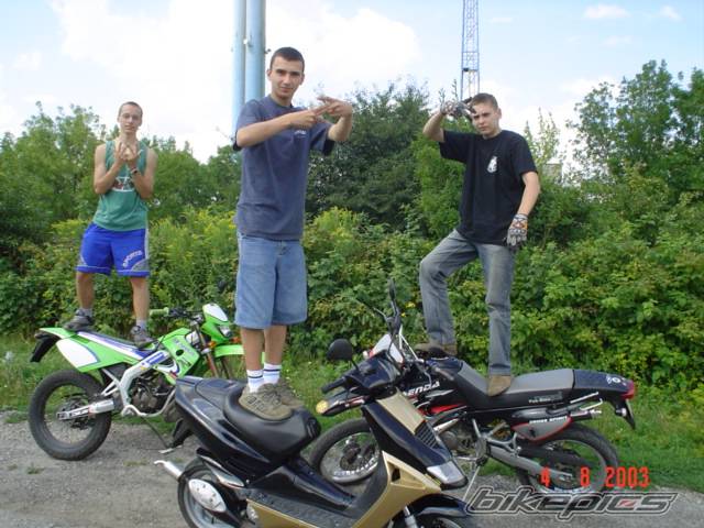 Photo 207689