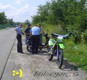 Photo 207692