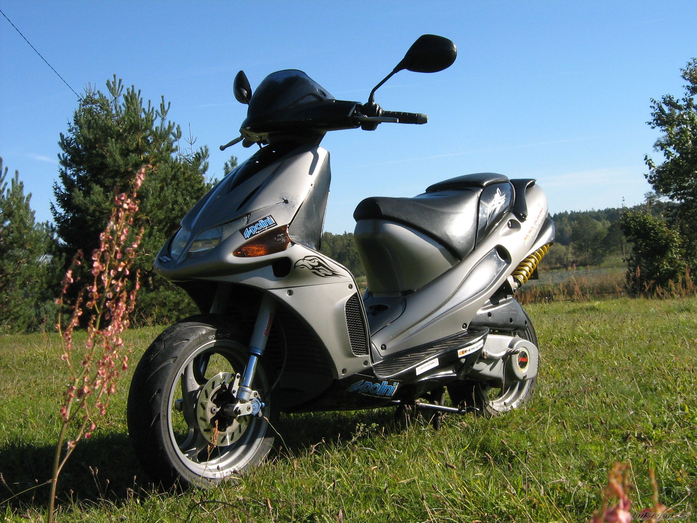Photo 2076923
