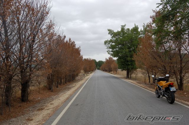 Photo 2077006