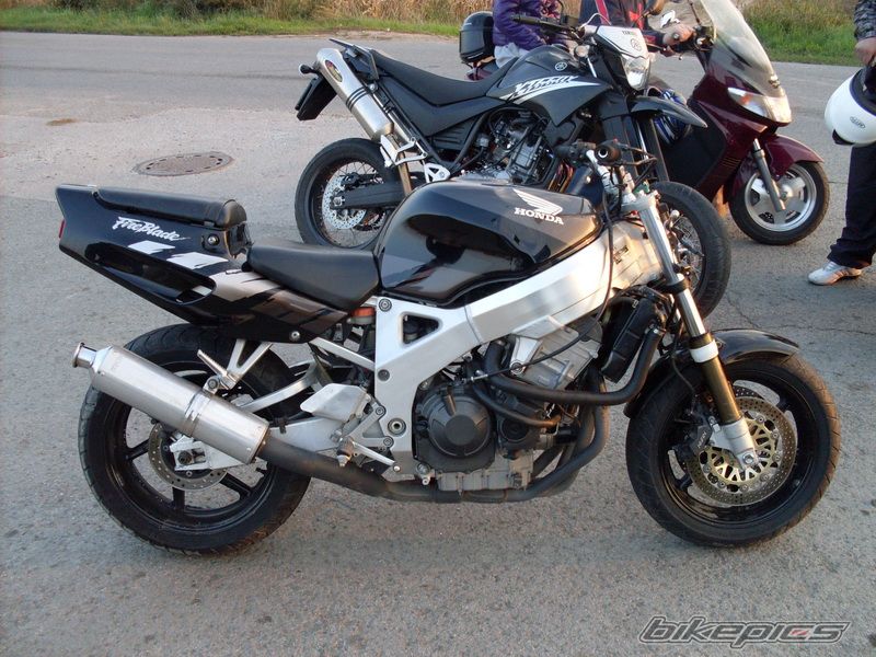 Photo 2077017