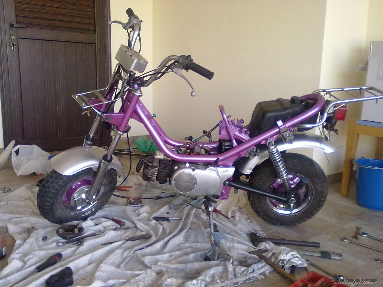 Photo 2077390