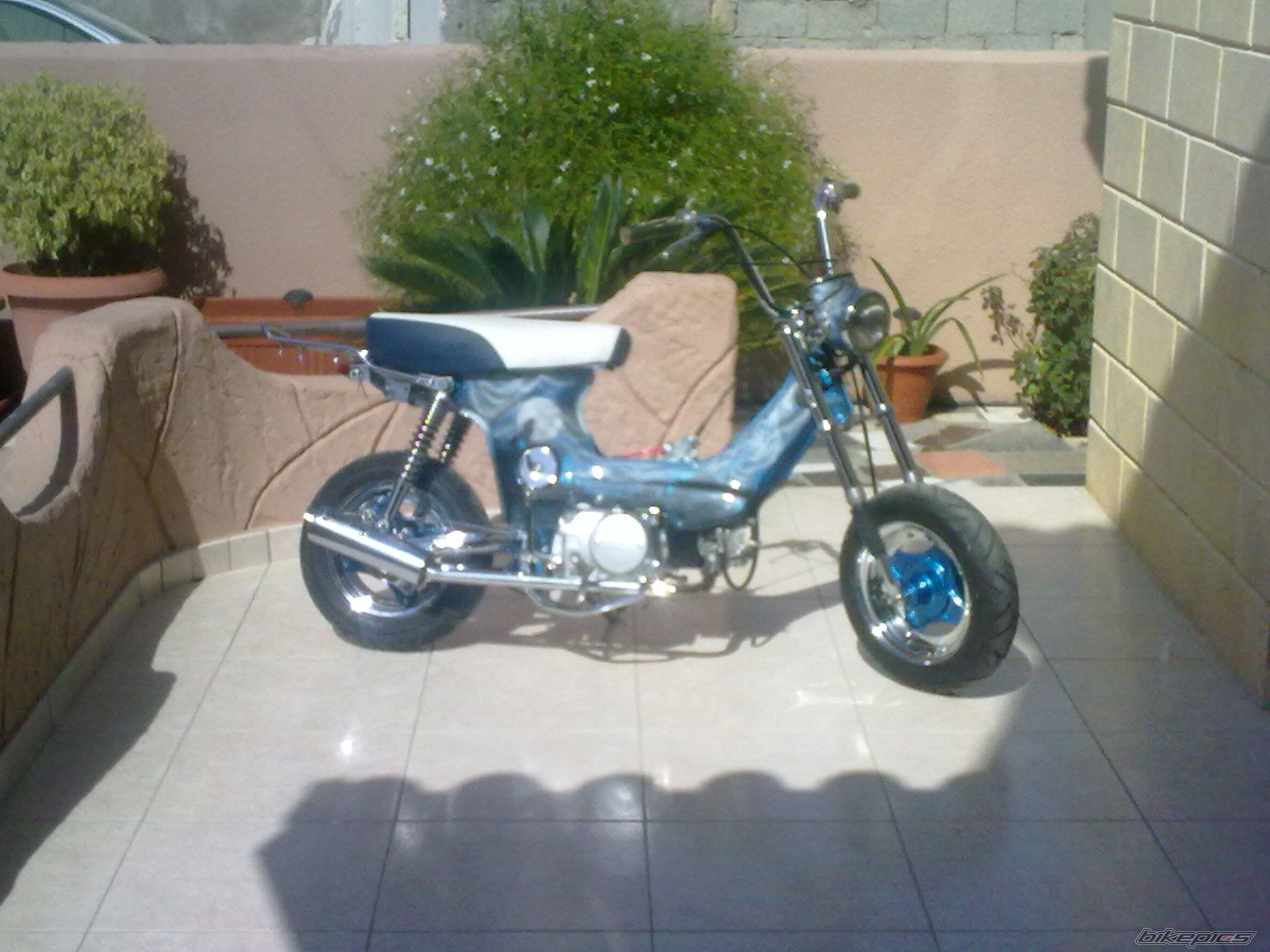 Photo 2077399