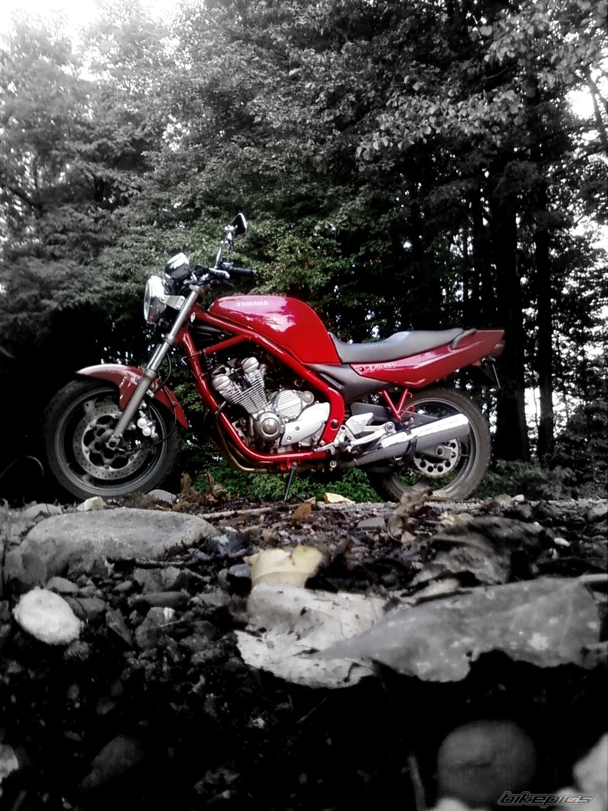 Photo 2077493