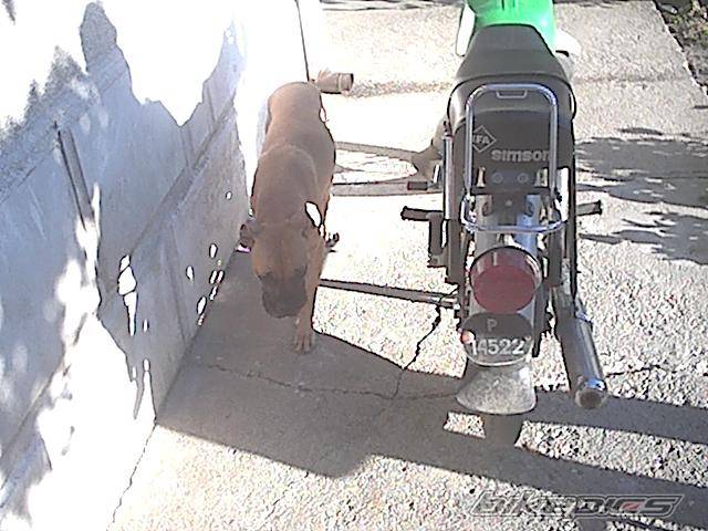 Photo 207762