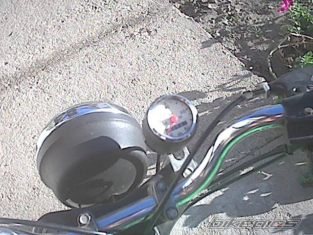 Photo 207763
