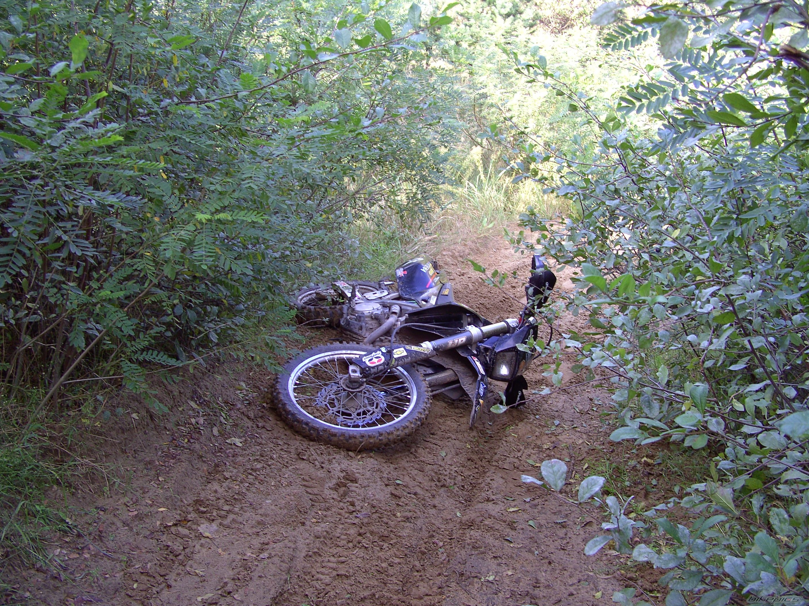 Photo 2077708