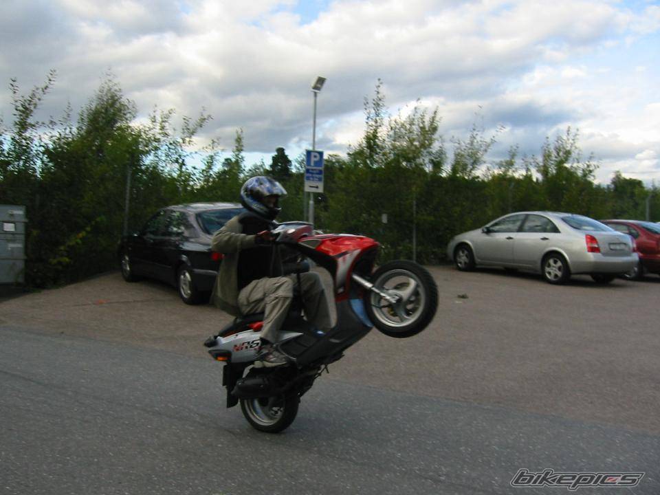 Photo 207773