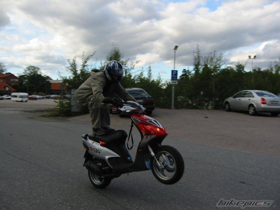 Photo 207774