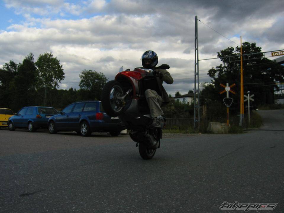 Photo 207777