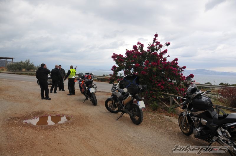 Photo 2077779