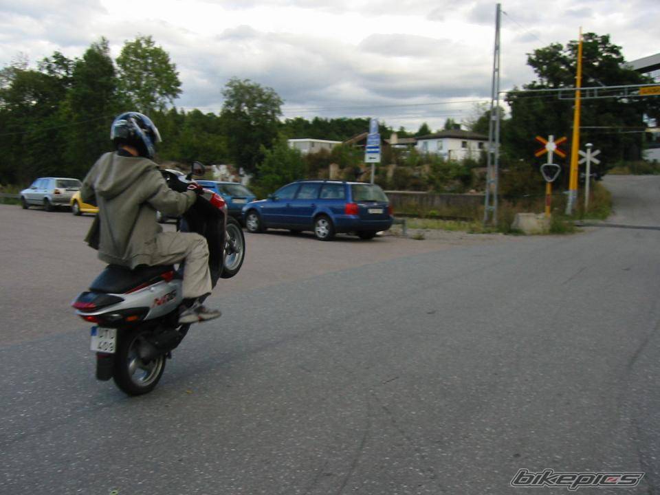 Photo 207779