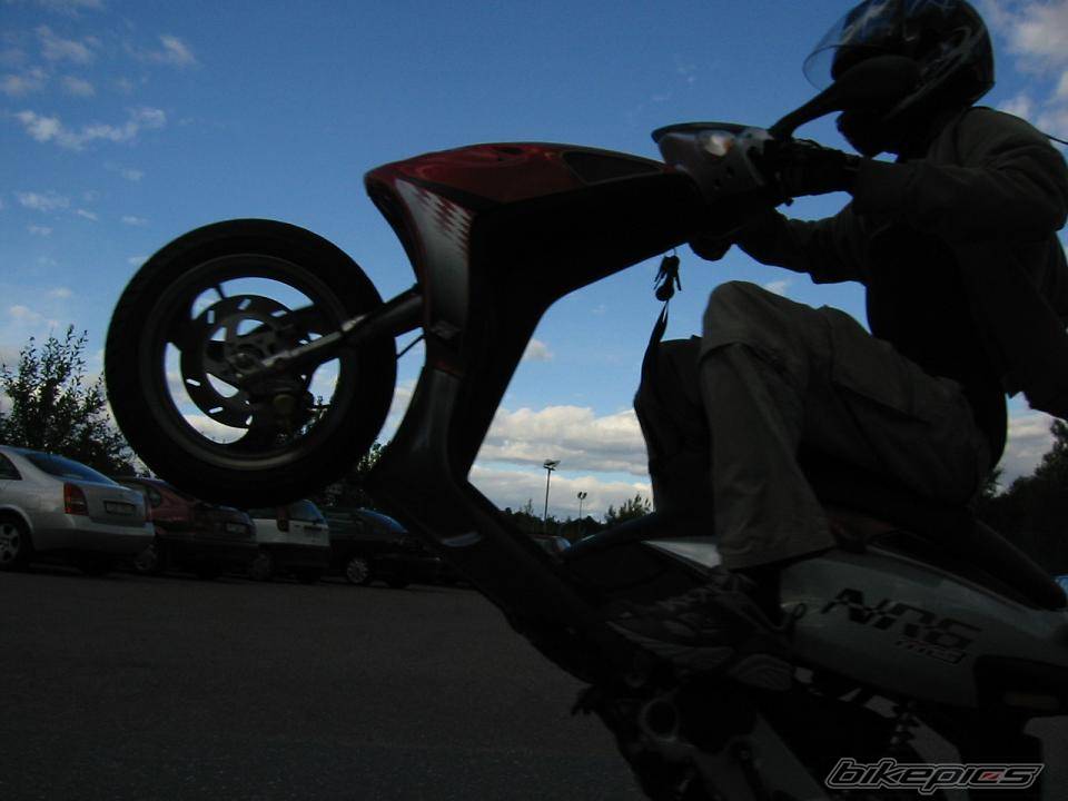 Photo 207781